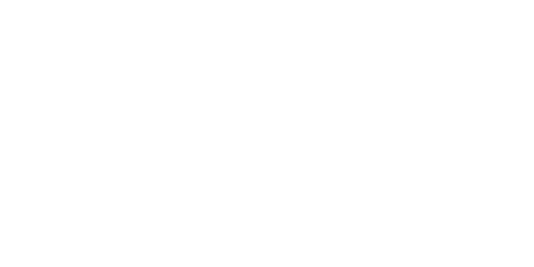 Logo Zapf