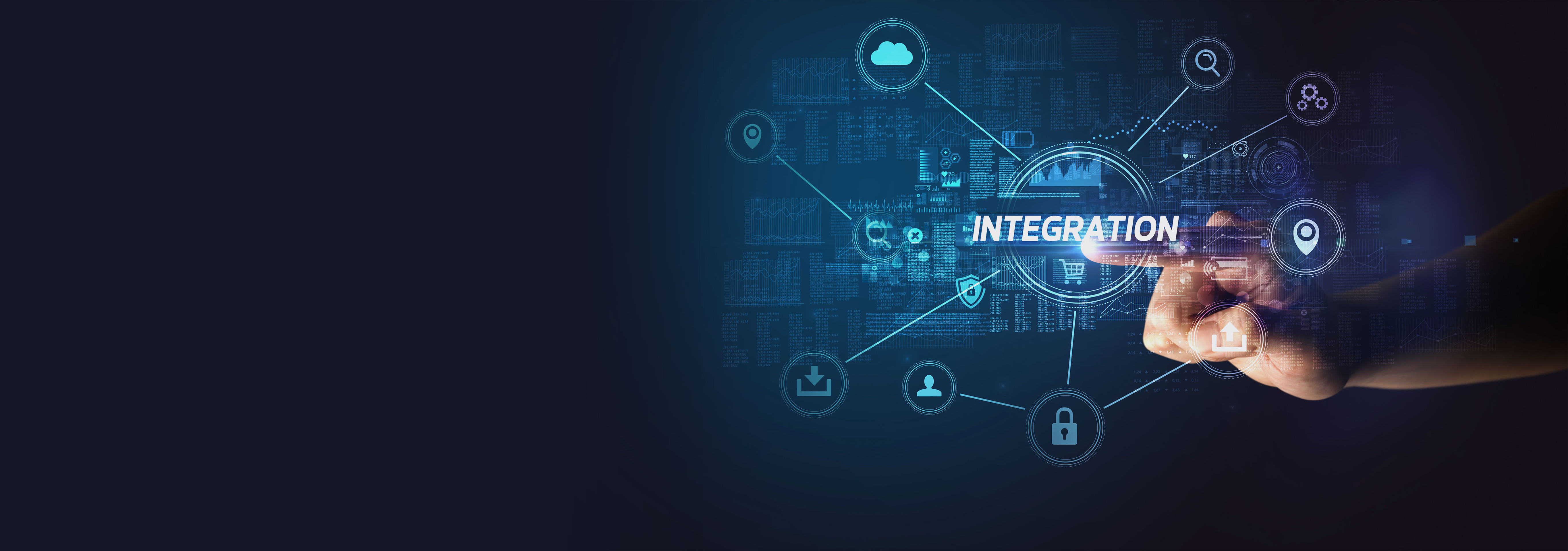 Data Integration Service and Consulting Header Image